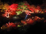 日本庭園　由志園に投稿された画像（2022/11/13）