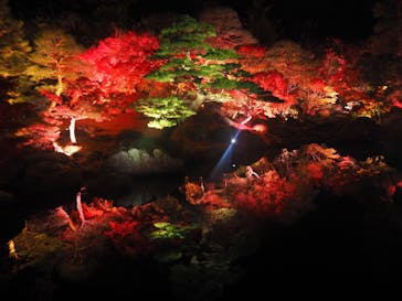 日本庭園　由志園に投稿された画像（2022/11/12）