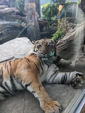 神戸どうぶつ王国に投稿された画像（2022/11/12）