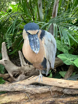 神戸どうぶつ王国に投稿された画像（2022/11/12）