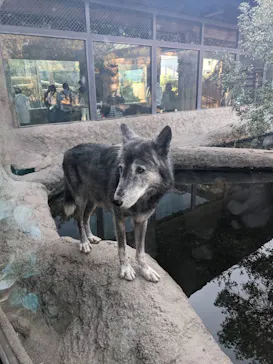 神戸どうぶつ王国に投稿された画像（2022/11/12）