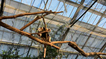 神戸どうぶつ王国に投稿された画像（2022/11/12）