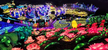 伊豆ぐらんぱる公園に投稿された画像（2022/11/12）