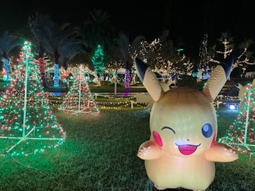 美らヤシパークオキナワ・東南植物楽園に投稿された画像（2022/11/13）