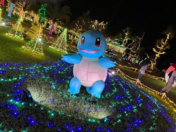 美らヤシパークオキナワ・東南植物楽園に投稿された画像（2022/11/13）