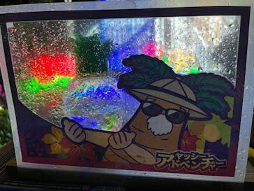 美らヤシパークオキナワ・東南植物楽園に投稿された画像（2022/11/13）