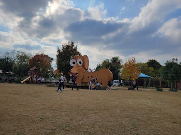 つくばわんわんランドに投稿された画像（2022/11/13）
