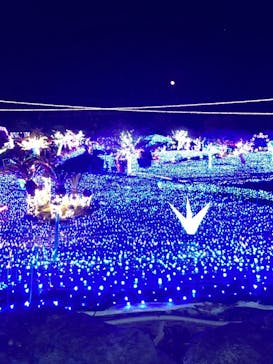 伊豆ぐらんぱる公園に投稿された画像（2022/11/13）