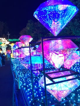 伊豆ぐらんぱる公園に投稿された画像（2022/11/13）