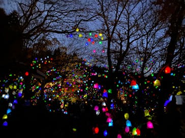 神戸六甲ミーツ・アート2025 beyondに投稿された画像（2022/11/13）