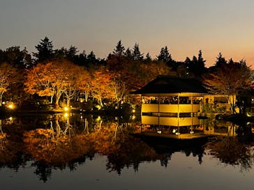 国営昭和記念公園 秋の夜散歩に投稿された画像（2022/11/13）