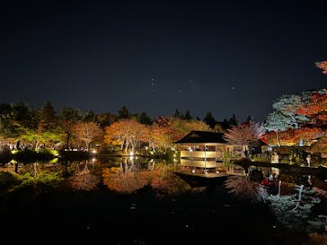 国営昭和記念公園 秋の夜散歩に投稿された画像（2022/11/13）
