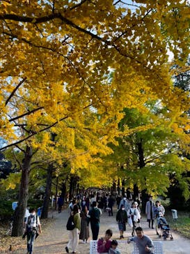 国営昭和記念公園 秋の夜散歩に投稿された画像（2022/11/13）