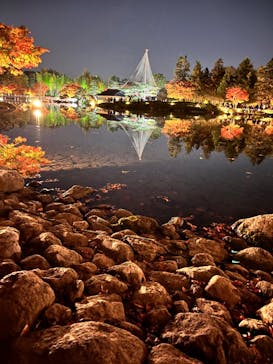 国営昭和記念公園 秋の夜散歩に投稿された画像（2022/11/13）