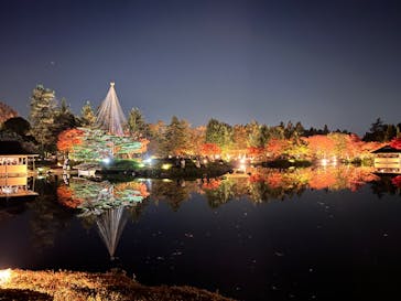 国営昭和記念公園 秋の夜散歩に投稿された画像（2022/11/13）