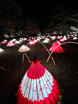 国営昭和記念公園 秋の夜散歩に投稿された画像（2022/11/13）