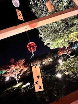 国営昭和記念公園 秋の夜散歩に投稿された画像（2022/11/13）