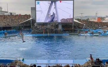 名古屋港水族館に投稿された画像（2022/11/13）