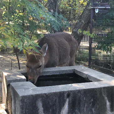 天王寺動物園に投稿された画像（2022/11/13）