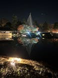 国営昭和記念公園 秋の夜散歩に投稿された画像（2022/11/13）