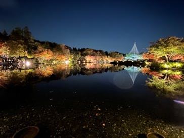 国営昭和記念公園 秋の夜散歩に投稿された画像（2022/11/13）