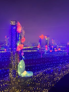 伊豆ぐらんぱる公園に投稿された画像（2022/11/13）