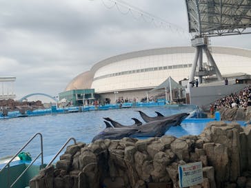 名古屋港水族館に投稿された画像（2022/11/13）