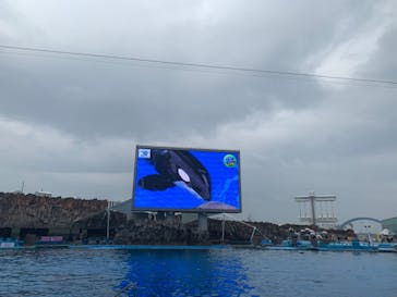 名古屋港水族館に投稿された画像（2022/11/13）