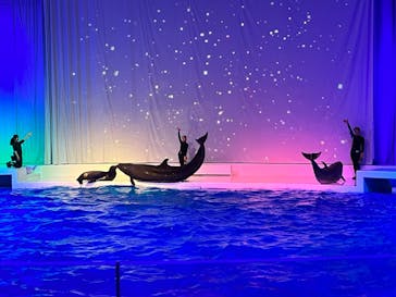 アクアワールド茨城県大洗水族館に投稿された画像（2022/11/13）