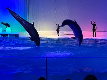アクアワールド茨城県大洗水族館に投稿された画像（2022/11/13）