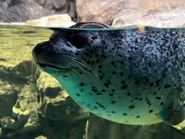 アクアワールド茨城県大洗水族館に投稿された画像（2022/11/13）