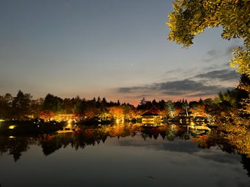 国営昭和記念公園 秋の夜散歩に投稿された画像（2022/11/13）