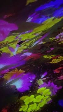 チームラボプラネッツ TOKYO DMMに投稿された画像（2022/11/13）