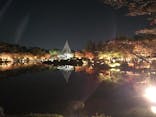 国営昭和記念公園 秋の夜散歩に投稿された画像（2022/11/13）
