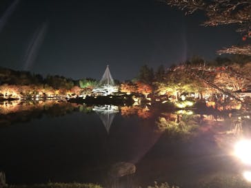 国営昭和記念公園 秋の夜散歩に投稿された画像（2022/11/13）