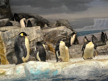 名古屋港水族館に投稿された画像（2022/11/13）