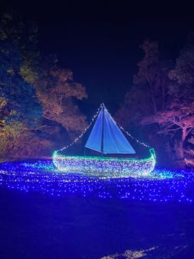 ムーミンバレーパークに投稿された画像（2022/11/13）