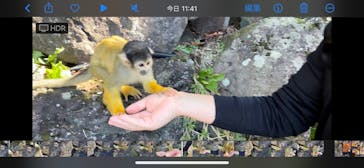 伊豆シャボテン動物公園に投稿された画像（2022/11/13）