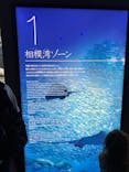 新江ノ島水族館に投稿された画像（2022/11/13）