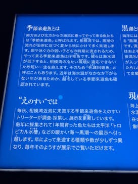 新江ノ島水族館に投稿された画像（2022/11/13）