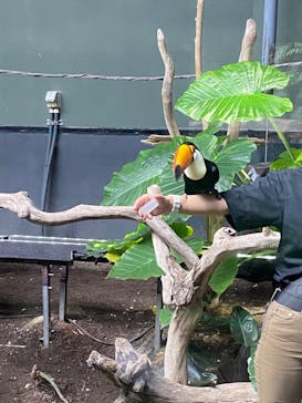 カワスイ 川崎⽔族館に投稿された画像（2022/11/13）