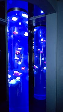 サンシャイン水族館に投稿された画像（2022/11/13）