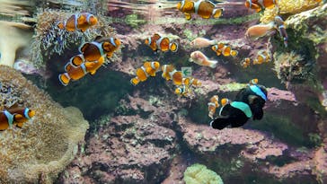 サンシャイン水族館に投稿された画像（2022/11/13）
