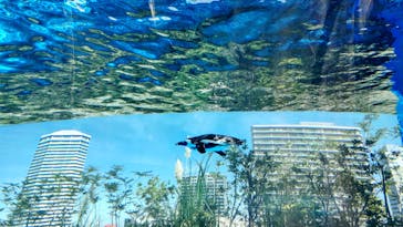 サンシャイン水族館に投稿された画像（2022/11/13）