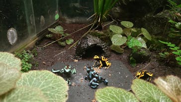 サンシャイン水族館に投稿された画像（2022/11/13）