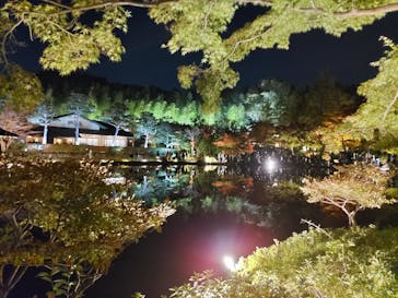 国営昭和記念公園 秋の夜散歩に投稿された画像（2022/11/13）