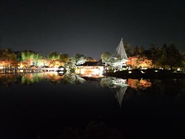 国営昭和記念公園 秋の夜散歩に投稿された画像（2022/11/13）