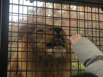 那須サファリパークに投稿された画像（2022/11/13）