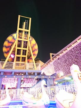 浅草花やしきに投稿された画像（2022/11/13）