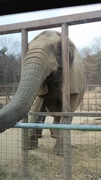 東北サファリパークに投稿された画像（2022/11/13）